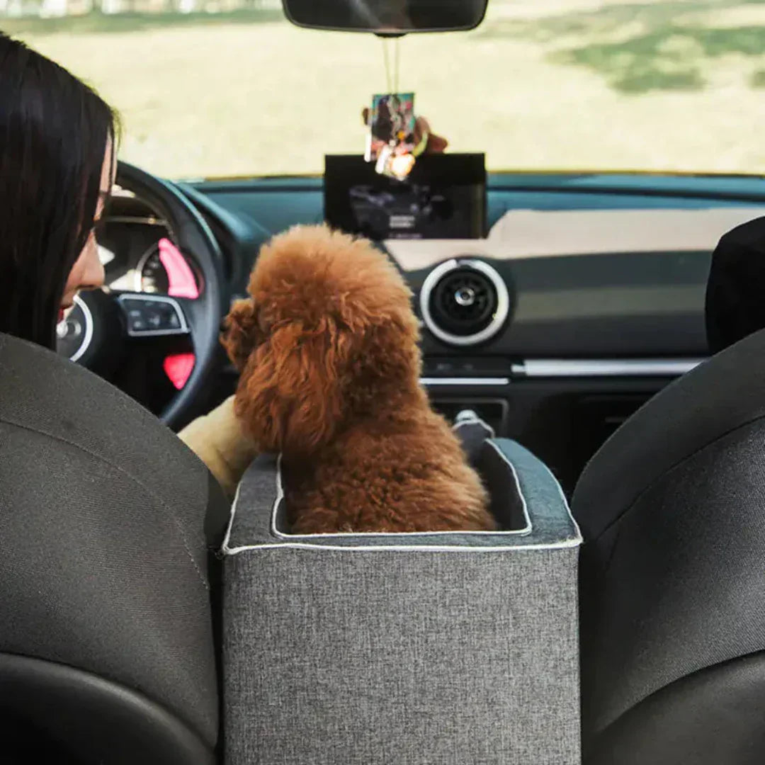 Brehn | Auto-Hundesitz PetCruza | Sicher & Gepolstert | Für kleine Hunde bis 11 kg | Einfach zu installieren