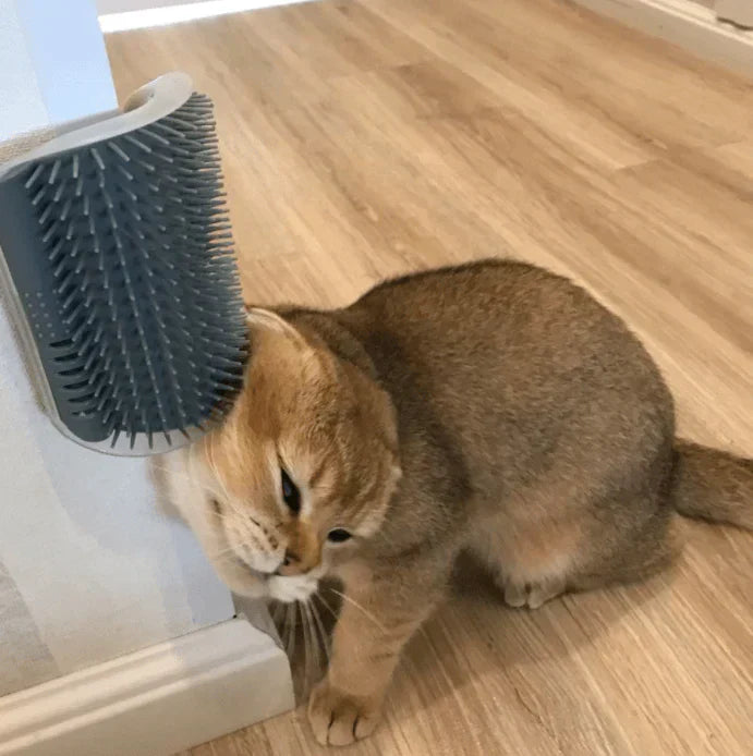 Selbstpflege Katzen Eckenbürste – FurRelaxer Brehn