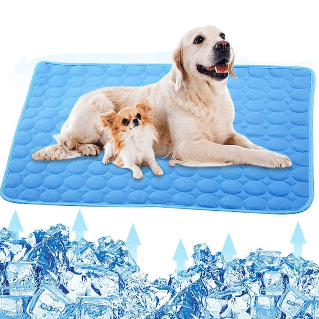 Cooling Dog Mat - CoolPet Mat Brehn