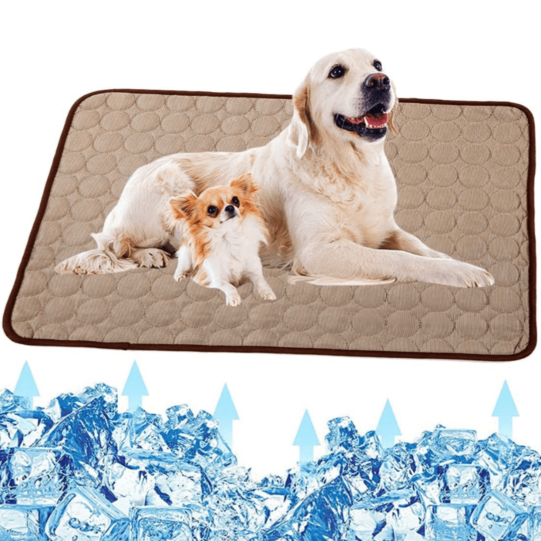 Cooling Dog Mat - CoolPet Mat Brehn