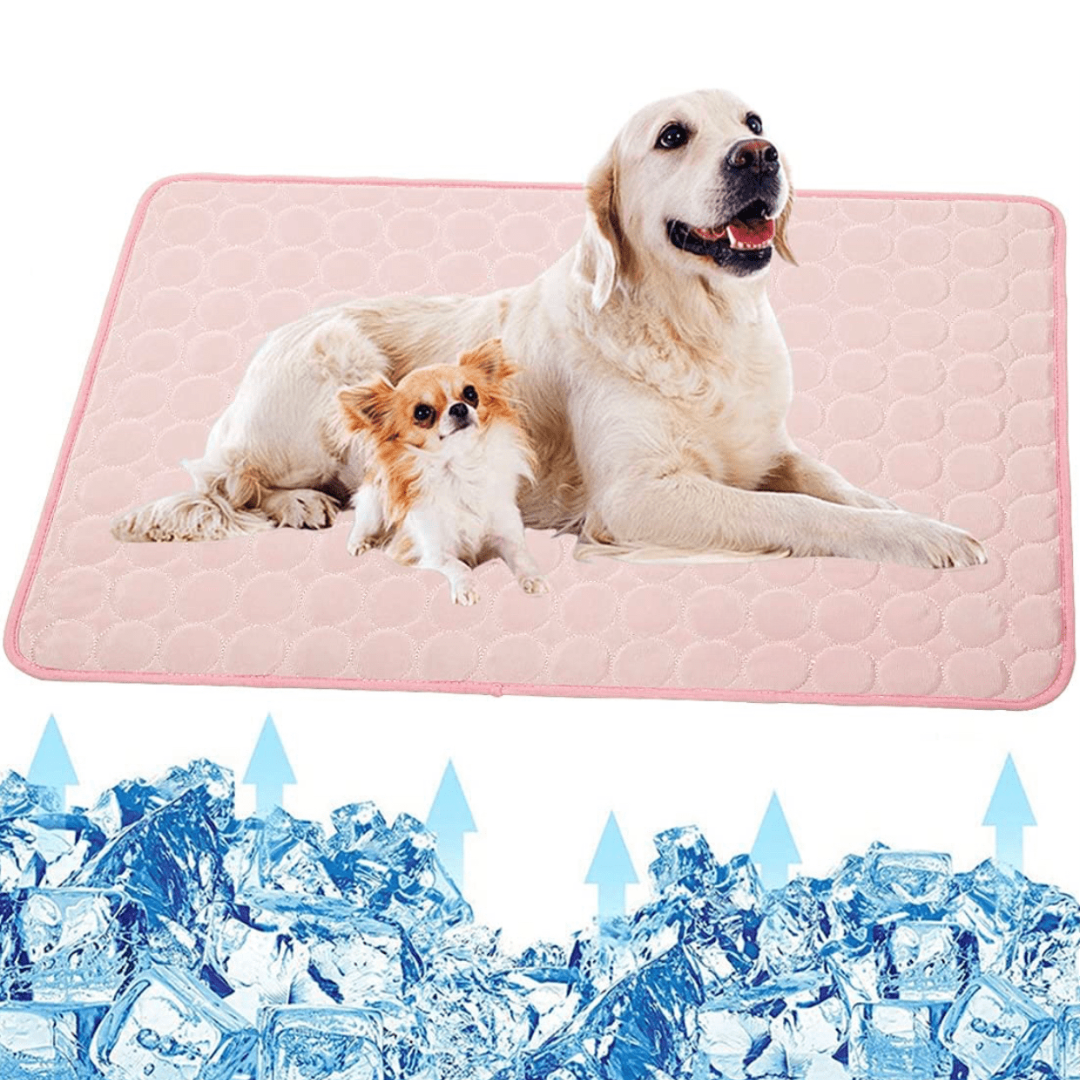 Cooling Dog Mat - CoolPet Mat Brehn