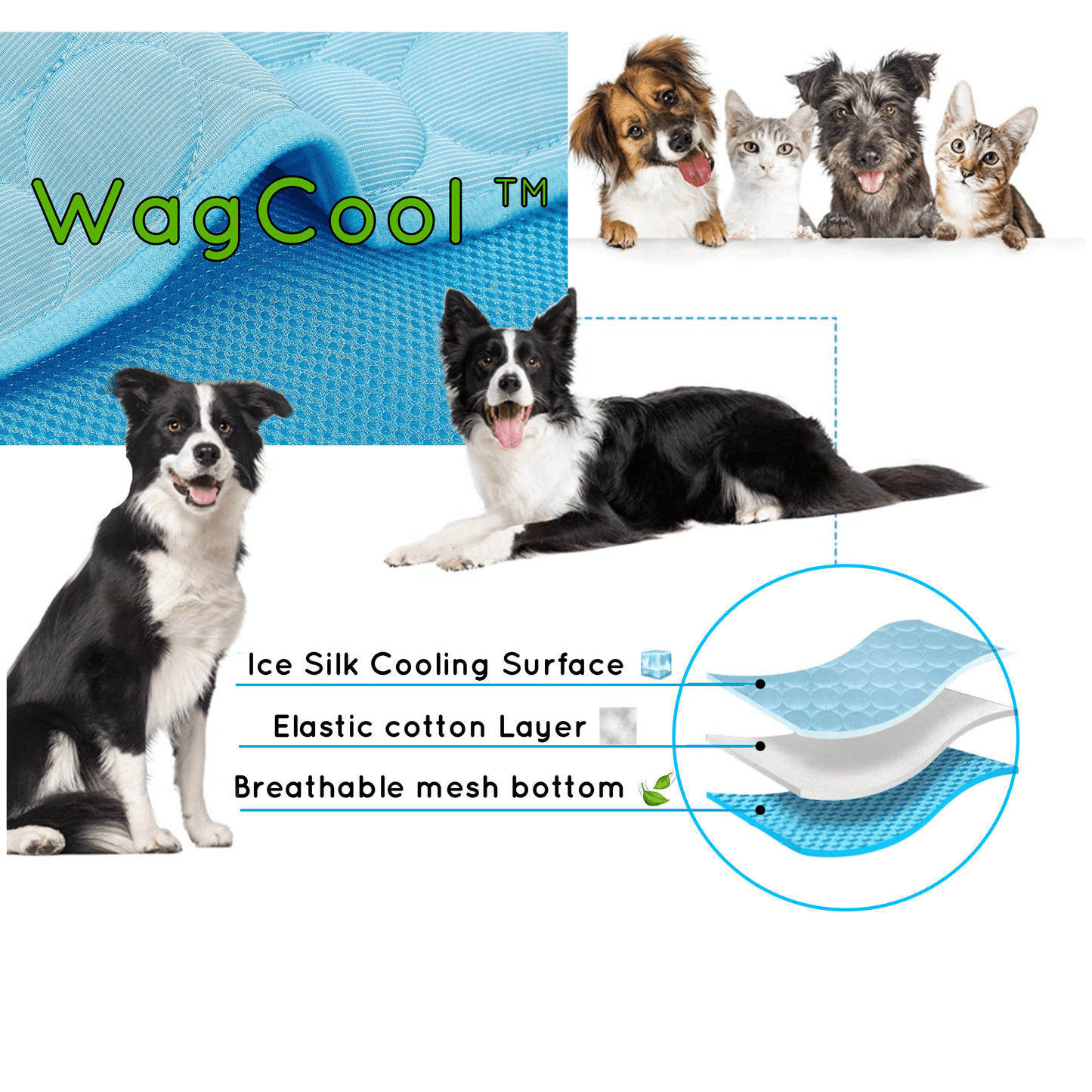 Cooling Dog Mat - CoolPet Mat Brehn