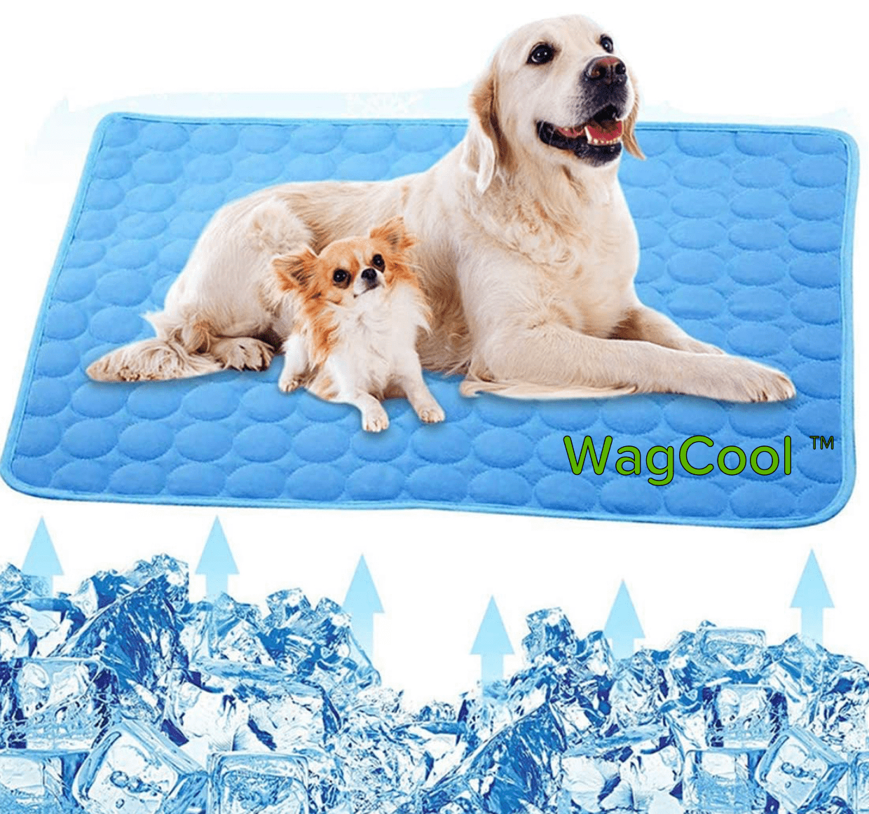Cooling Dog Mat - CoolPet Mat Brehn