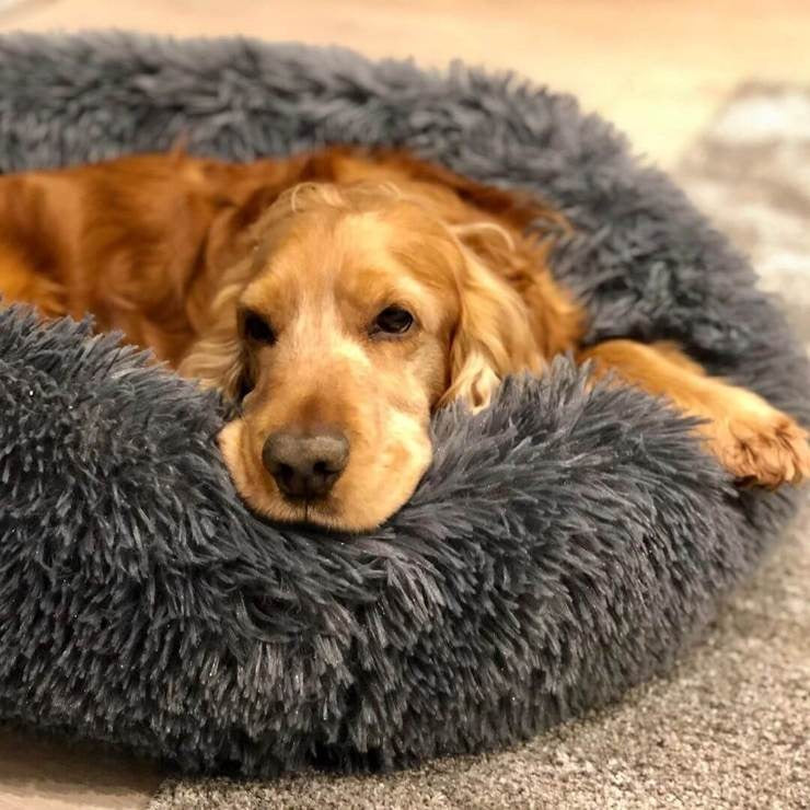 Brehn | Beruhigendes waschbares Hundebett-Kissen aus Kunstfell