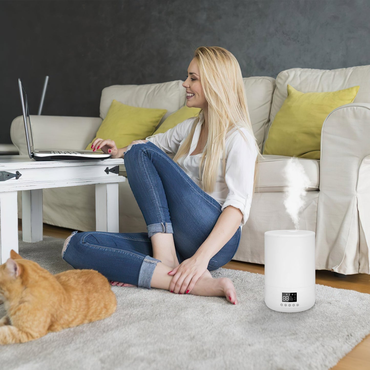 4L Top Fill Luftbefeuchter mit Fernbedienung | Brehn