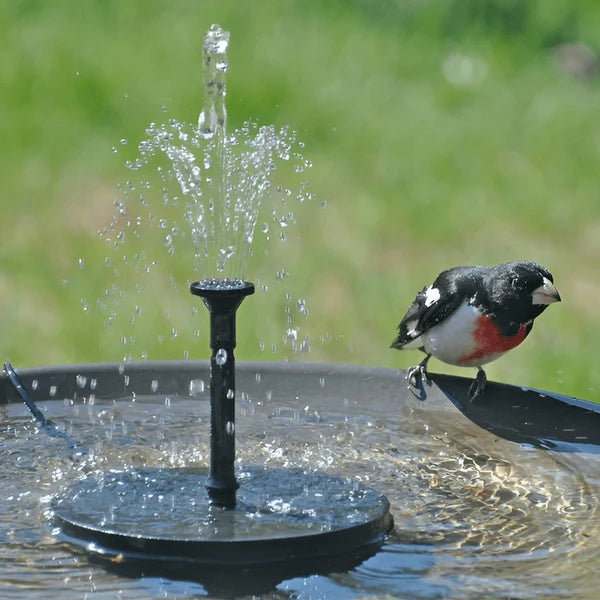 SolarSprudelX — Mach deinen Garten zur atemberaubenden Natur-Oase voller Leben und Magie! | Brehn