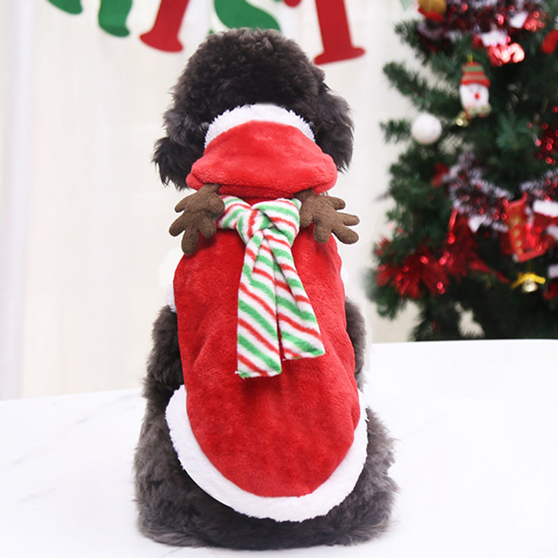 Brehn | Weihnachtsmann Zuhause Winter Haustier Kostüme