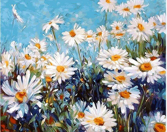 Field of Daisies - Van-Go Malen nach Zahlen Kit | Brehn
