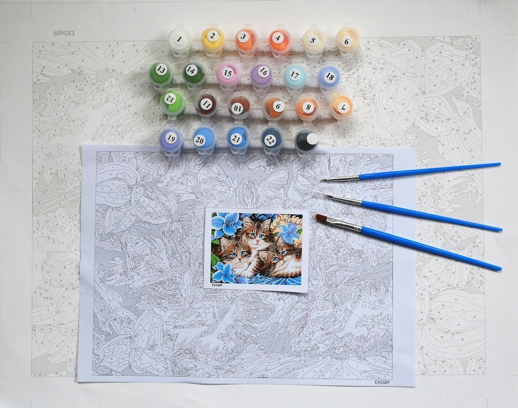 Field of Daisies - Van-Go Malen nach Zahlen Kit | Brehn