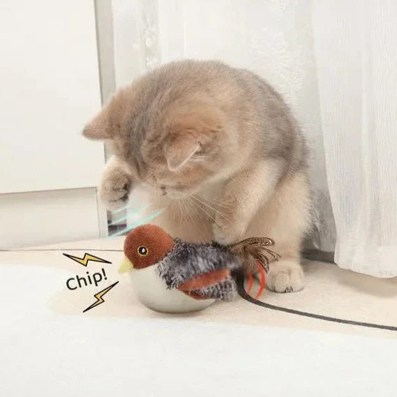 Brehn | Chirpy Katzenspielzeug