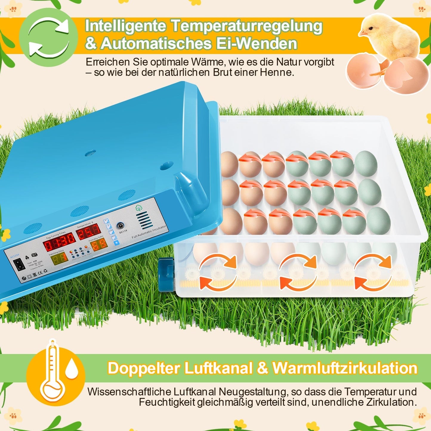 Brutautomat Vollautomatisch Inkubator für Hühner 64 Eier | Brehn