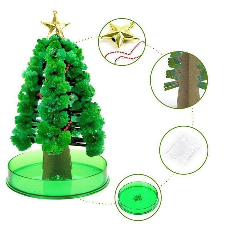 Brehn | DIY Magischer Wachsende Weihnachtsbaum