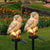 Umweltfreundliche Solar-Eule Gartenlampen (2er-Pack)