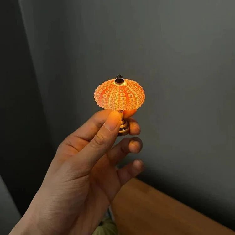 DIY Seeigel Nachtlicht - LumiUrchin | Brehn