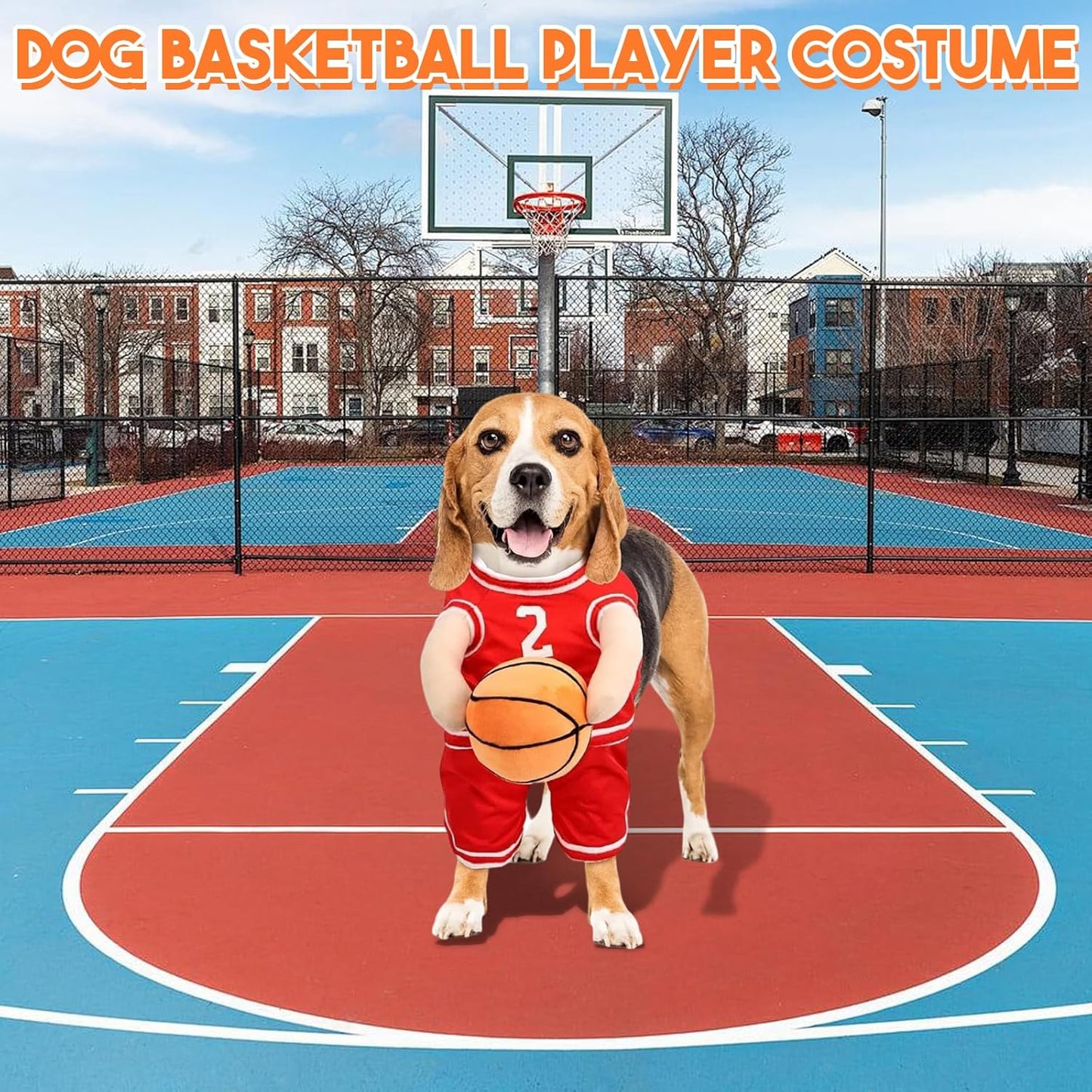 Brehn | PawChic Luxe Hund Basketball Set | Stylisches Outfit mit passendem Ball für aktive Welpen