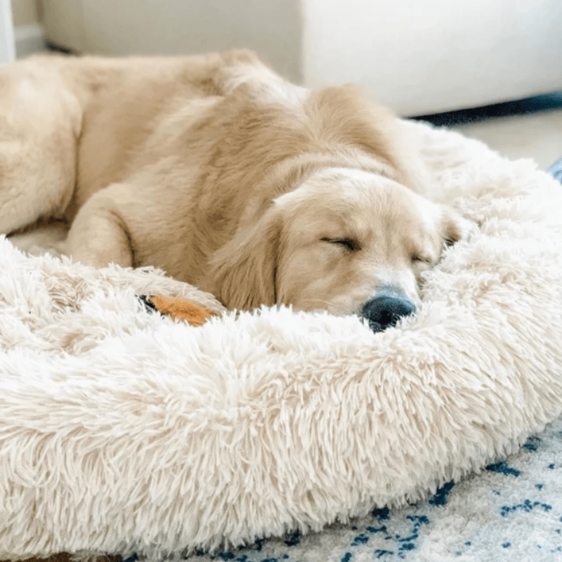 Brehn | Runder Plüsch Beruhigender Donut Hundebett für kleine bis große Hunde
