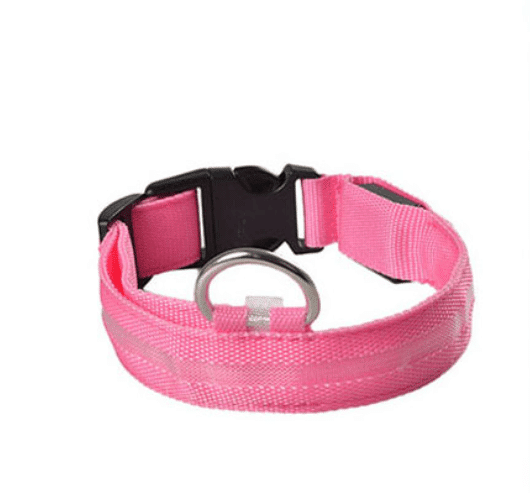 Hundehalsband mit LED-Licht | Brehn