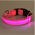 Hundehalsband mit LED-Licht | Brehn