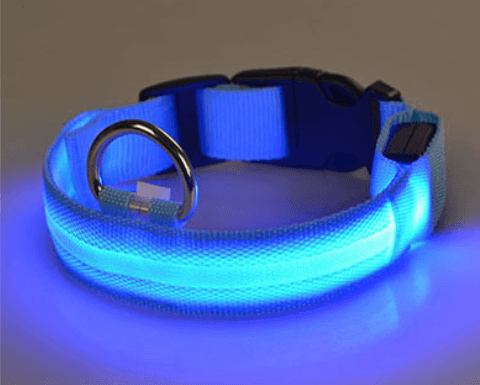 Hundehalsband mit LED-Licht | Brehn