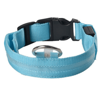 Hundehalsband mit LED-Licht | Brehn