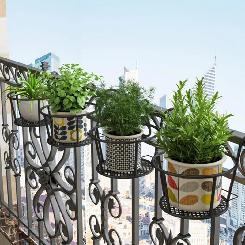 Brehn | Verwandle deinen Balkon - Hängende Pflanzen - Botanisches Urlaubsziel