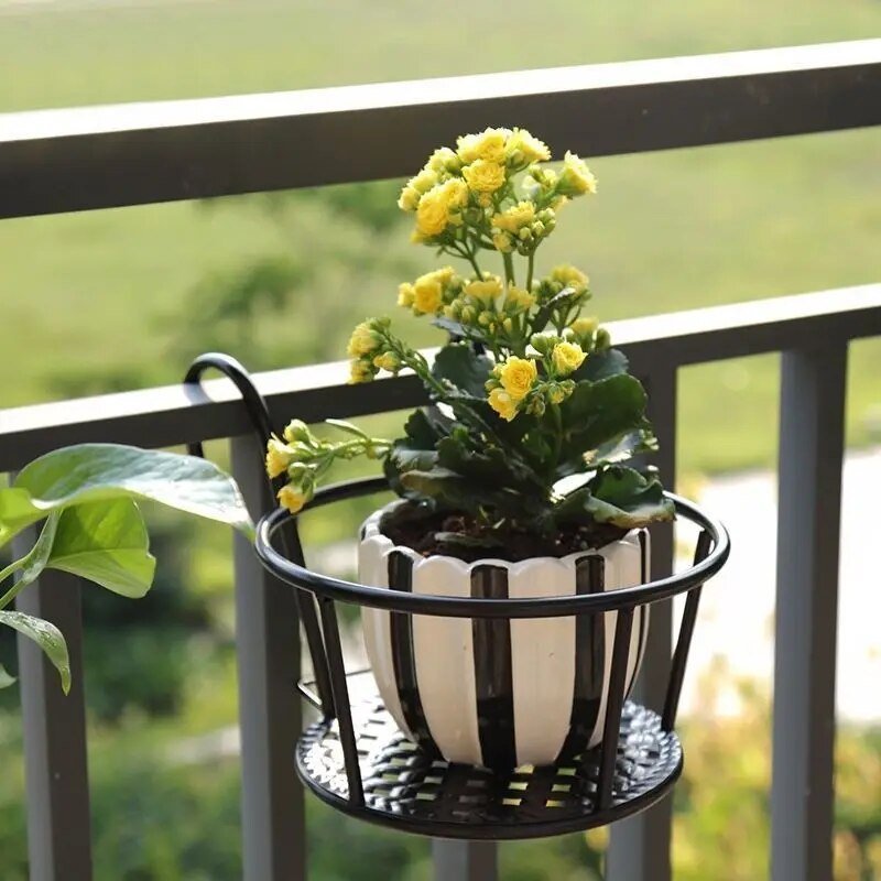 Brehn | Verwandle deinen Balkon - Hängende Pflanzen - Botanisches Escape