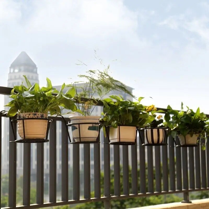 Brehn | Verwandle deinen Balkon - Hängende Pflanzen - Botanisches Escape