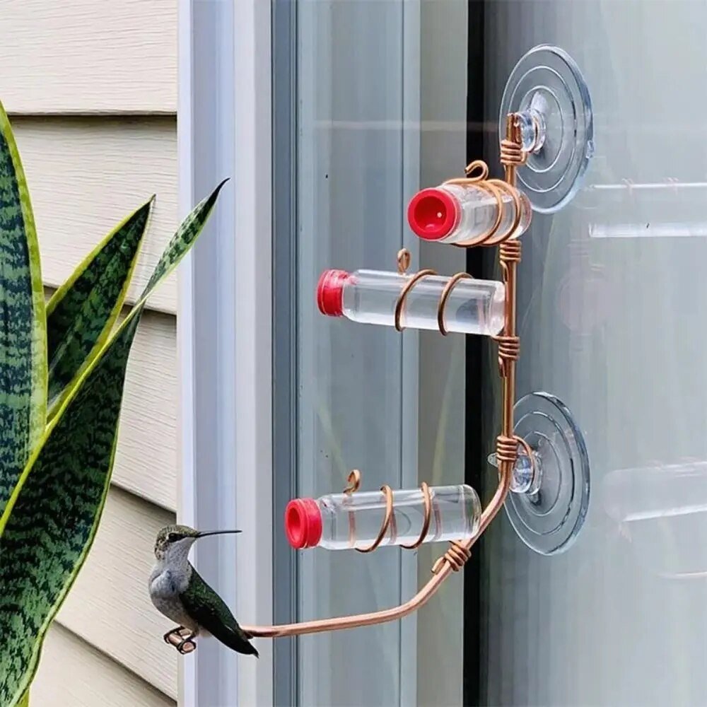 Brehn | Fensternektar - Sehen Sie die Vögel aus der Nähe - Wunder garantiert