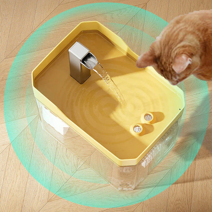 Automatischer Wasserspender für Haustiere | Brehn