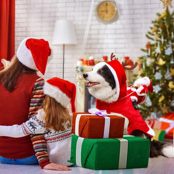 Hund Weihnachtsmann Kostüm | Brehn