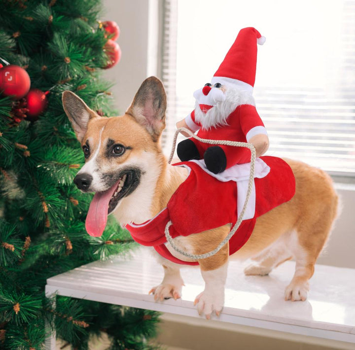 Hund Weihnachtsmann Kostüm | Brehn