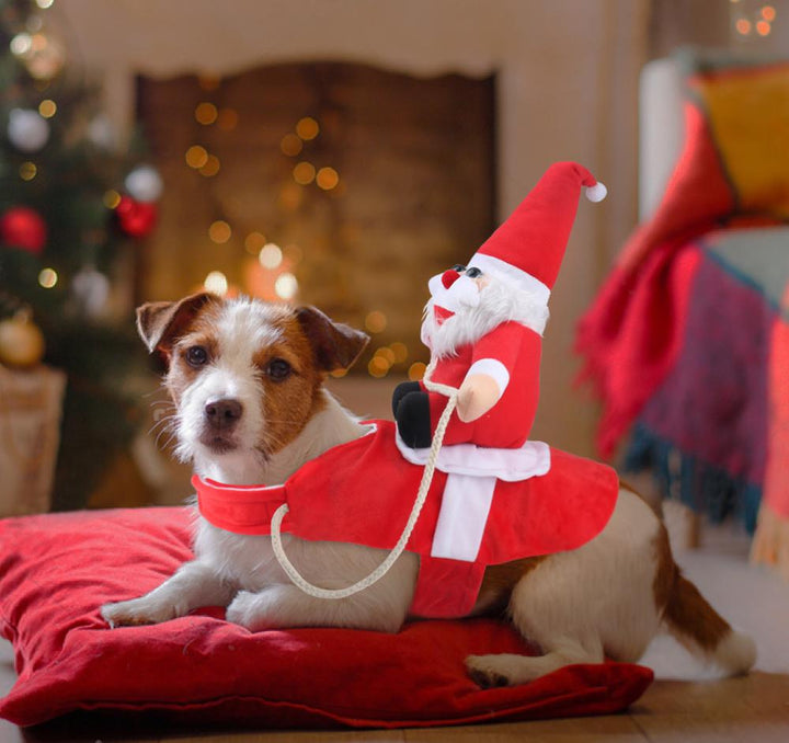 Hund Weihnachtsmann Kostüm | Brehn