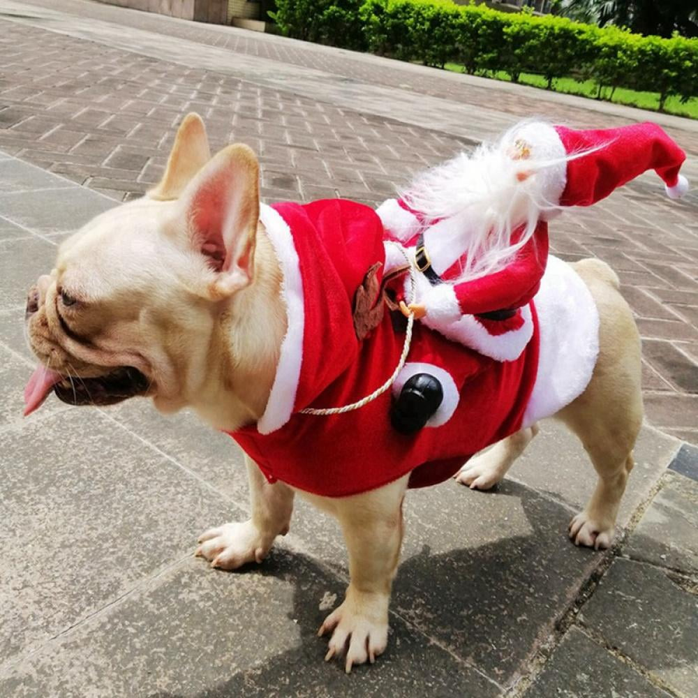 Hund Weihnachtsmann Kostüm | Brehn
