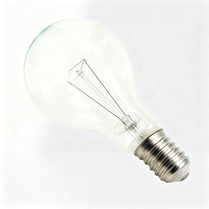 Glühlampe E40 Schraubsockel 110V/220V