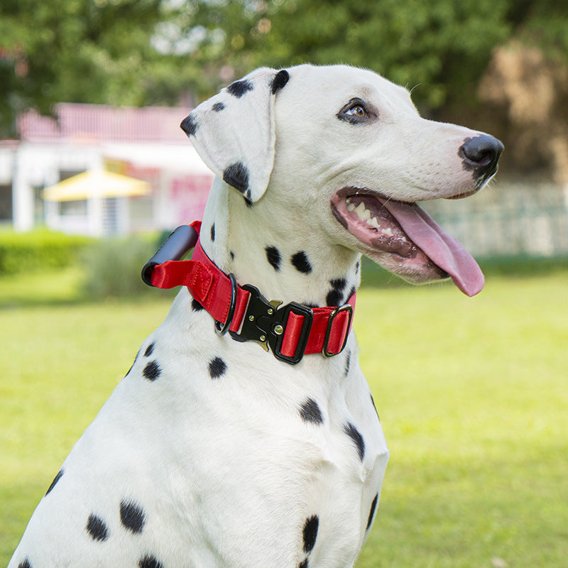 Taktisches Hundehalsband mit Griff