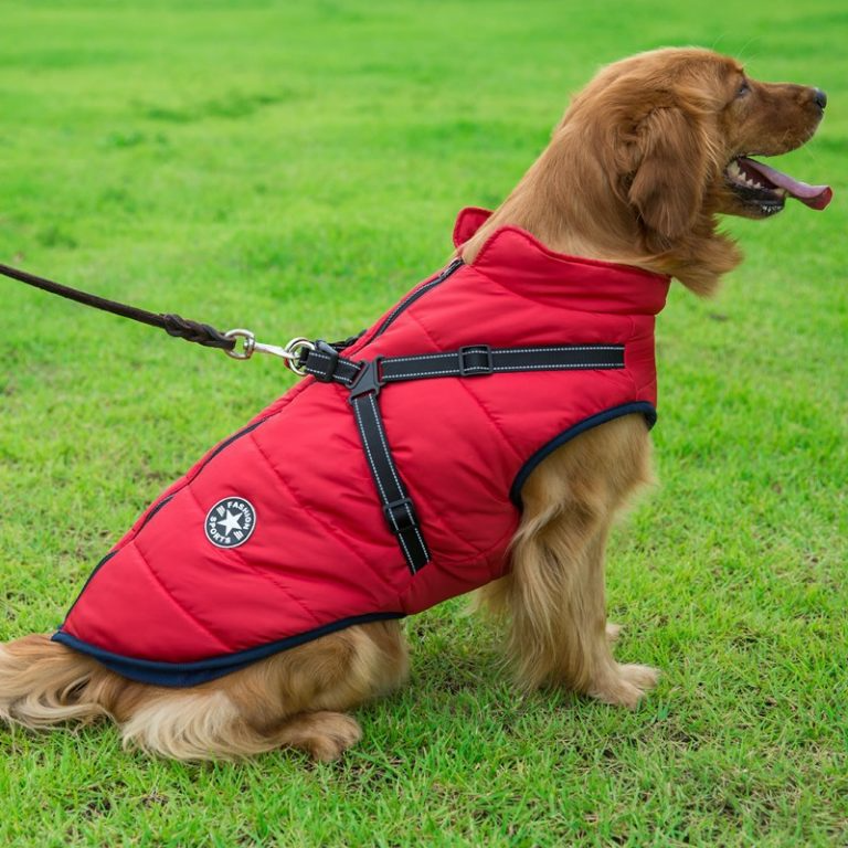 Winter Hundejacke mit Geschirr | Brehn