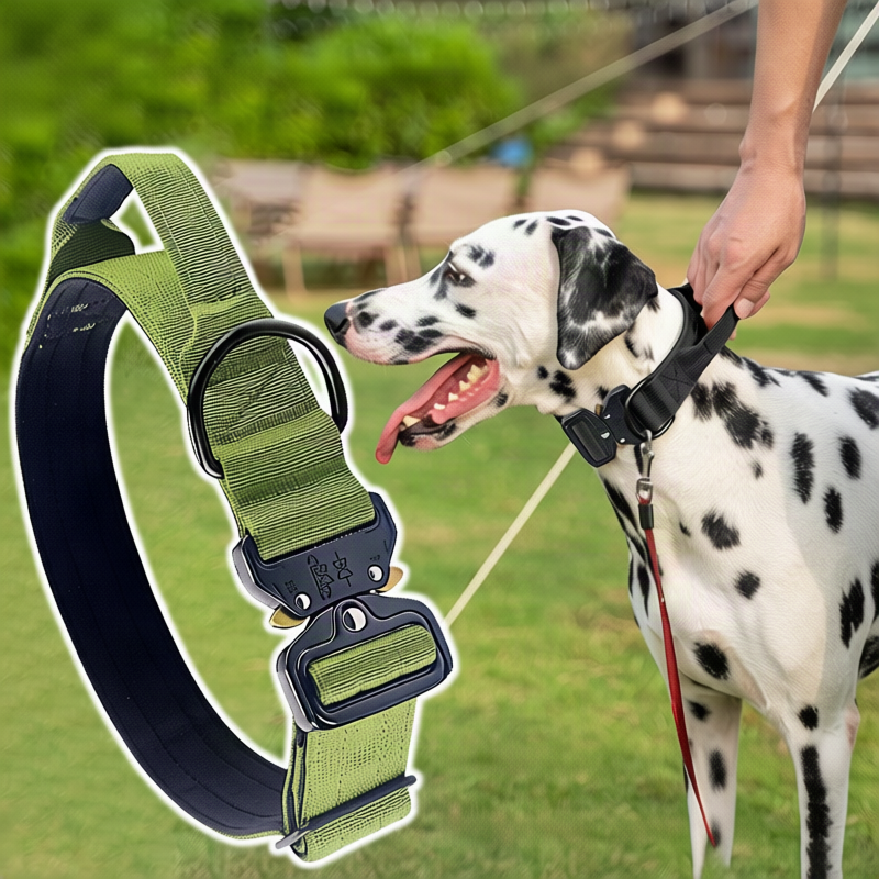 Hundehalsband aus Nylon mit Griff