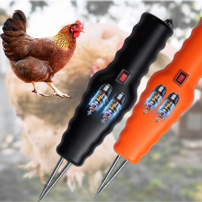 Electric Chicken Eater | Brehn