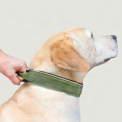 Taktisches Hundehalsband mit Griff