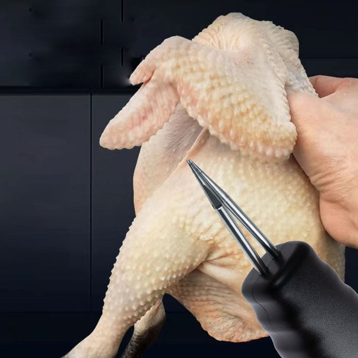 Electric Chicken Eater | Brehn