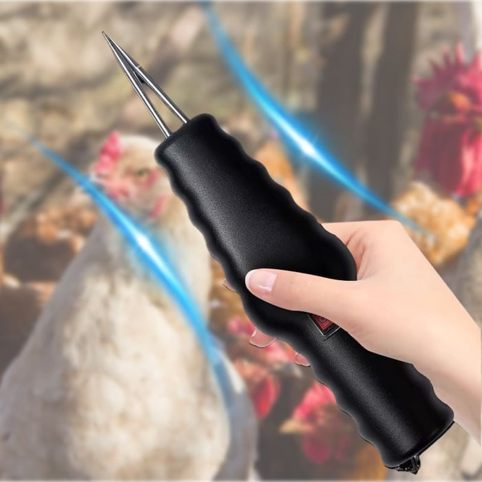 Electric Chicken Eater | Brehn