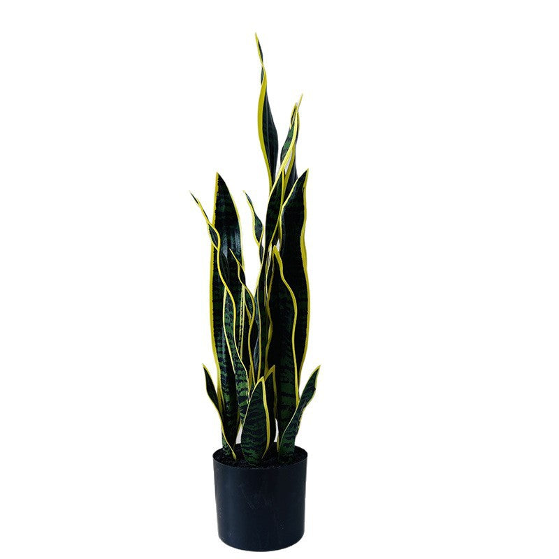 Kunstpflanze Sansevieria, 50 cm, PE