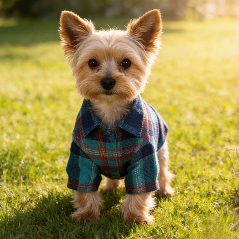 Hundemantel Dackel Brooklyn Waxed Tartan