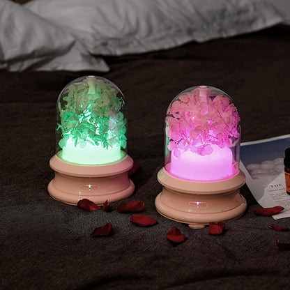 Aroma-Diffuser mit LED-Licht und Sprühfunktion