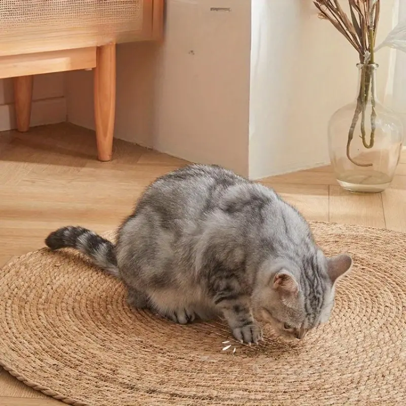 Kratzmatte für Katzen | Brehn