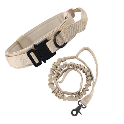 Taktisches Hundehalsband aus Nylon