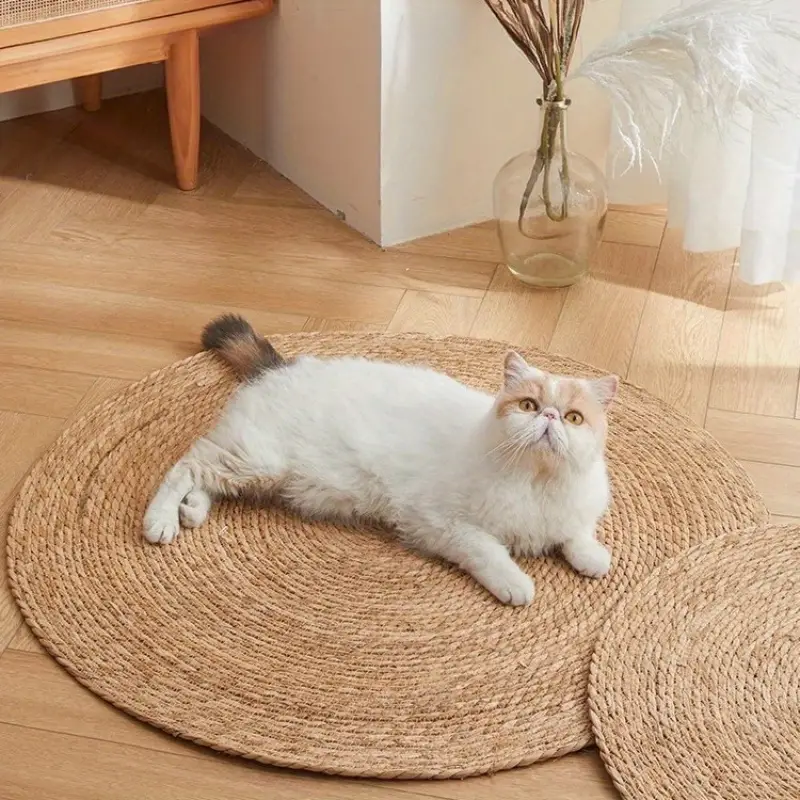 Kratzmatte für Katzen | Brehn