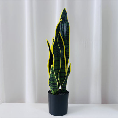 Kunstpflanze Sansevieria, 50 cm, PE