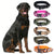 Taktisches Hundehalsband mit Griff