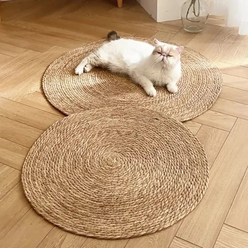 Kratzmatte für Katzen | Brehn